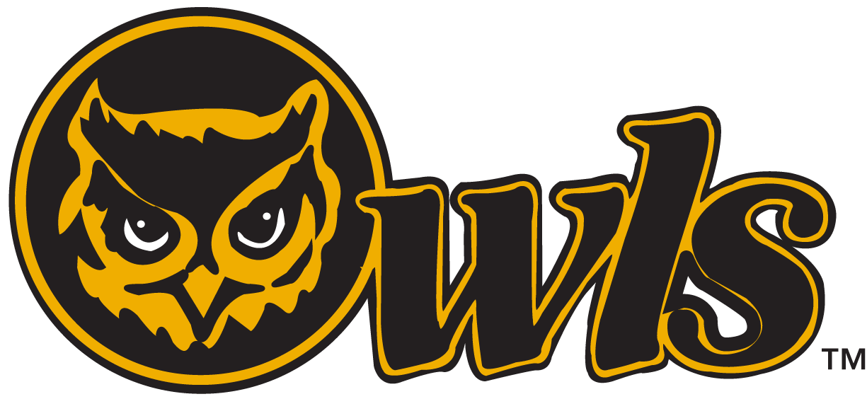 Kennesaw State Owls 0-2011 Secondary Logo t shirts iron on transfers v2